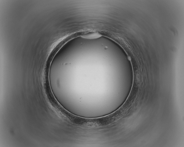 X0000112930536200909141335