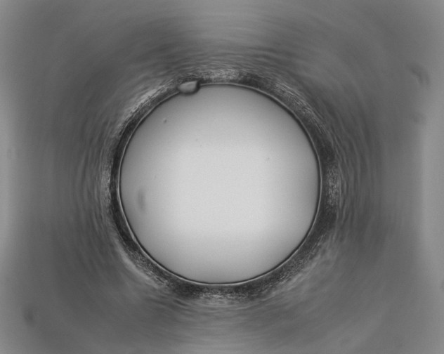 X0000112930538200909141335