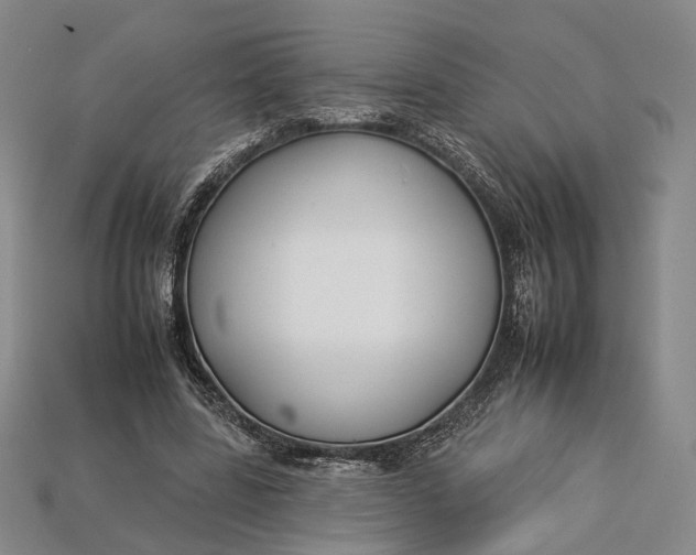 X0000112930539200909141335