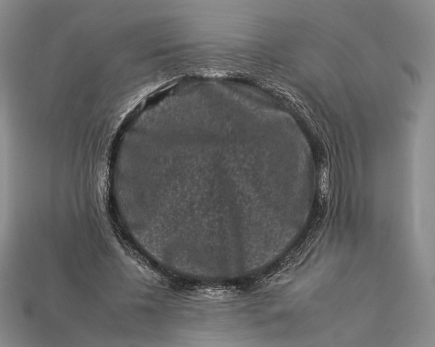 X0000112930540200909141335