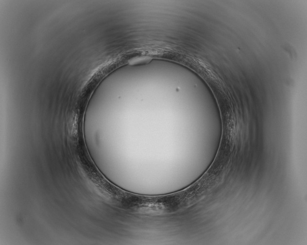 X0000112930543200909141335