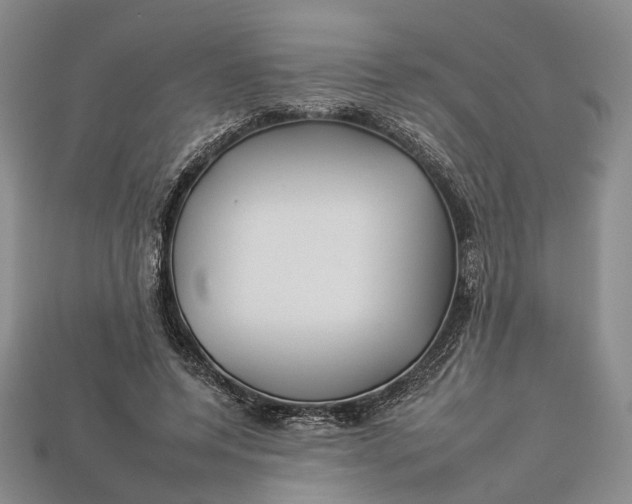 X0000112930544200909141335