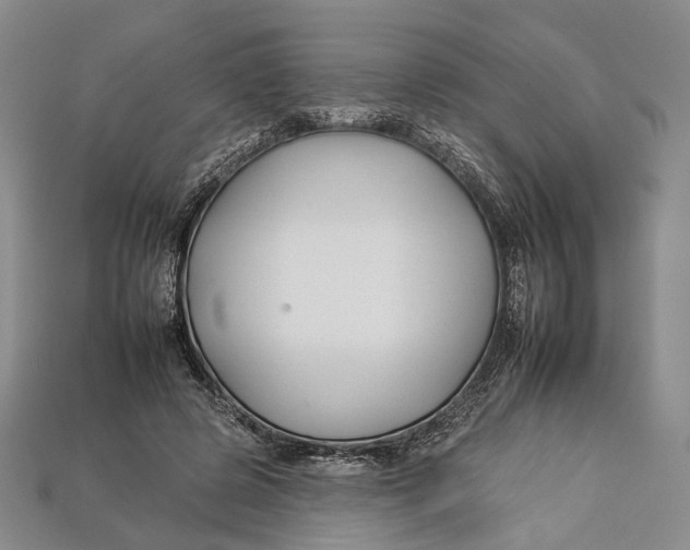 X0000112930545200909141335