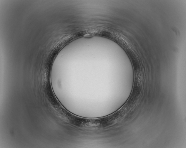 X0000112930546200909141336