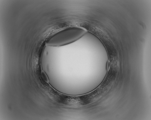 X0000112930548200909141336