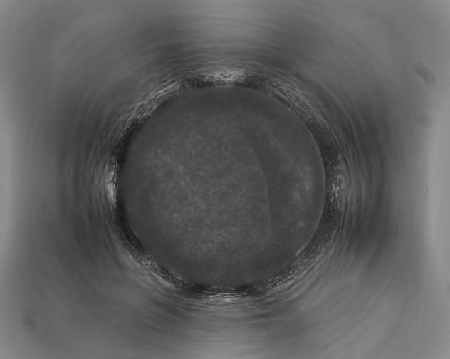 X0000112930551200909141336