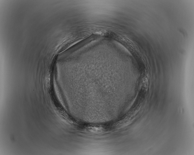 X0000112930552200909141336