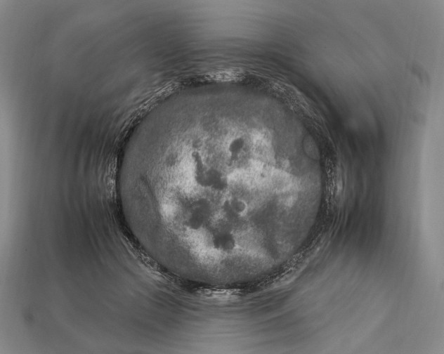 X0000112930553200909141336