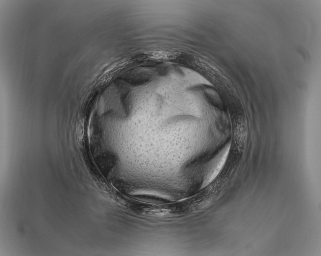 X0000112930554200909141336