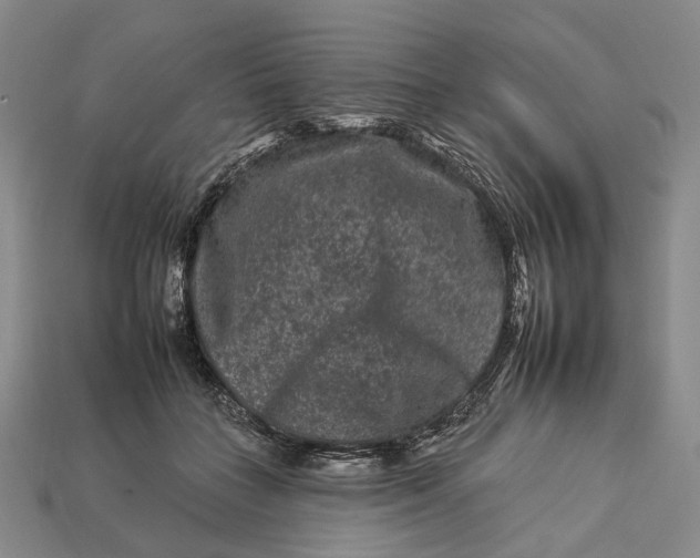 X0000112930555200909141336