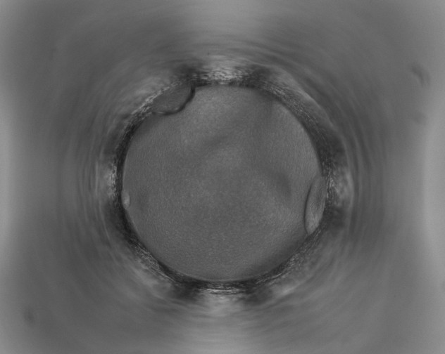 X0000112930556200909141336