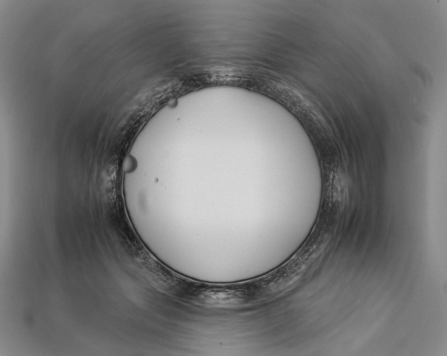 X0000112930557200909141336