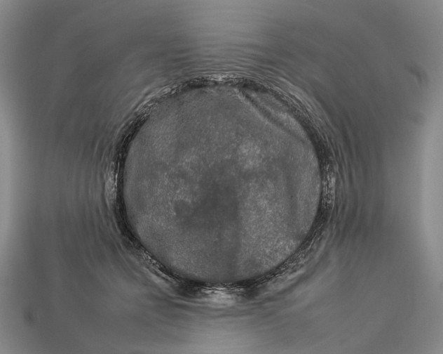 X0000112930558200909141336