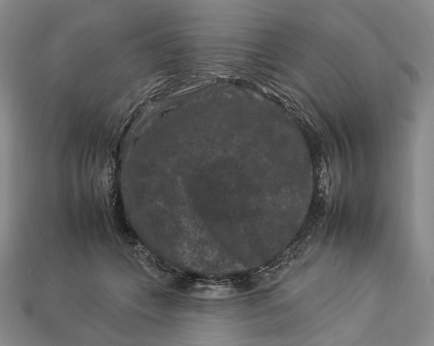 X0000112930559200909141336