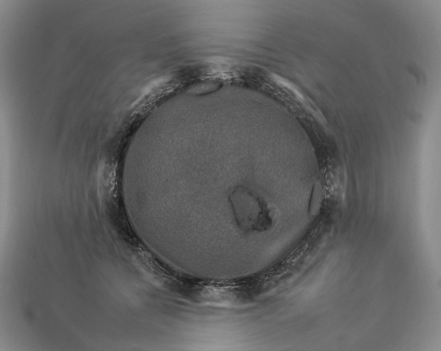 X0000112930560200909141336