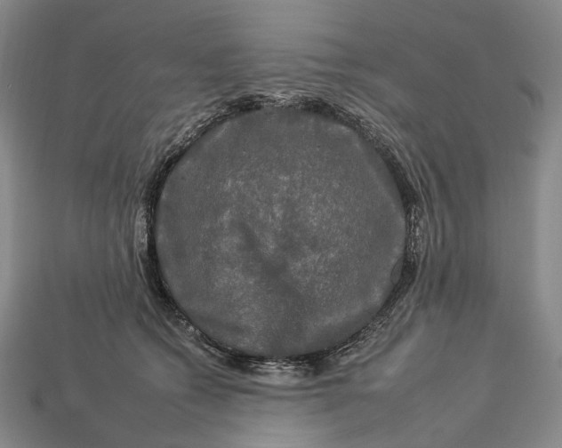 X0000112930562200909141336