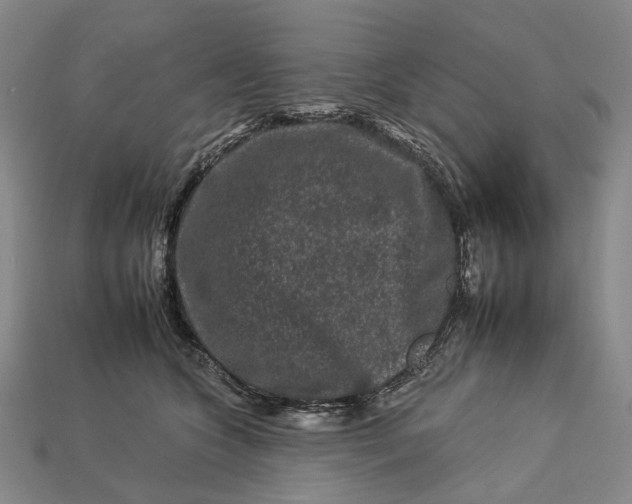 X0000112930563200909141336