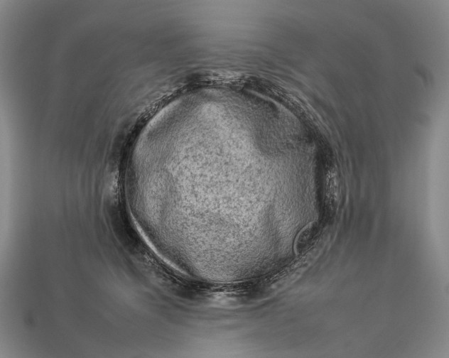 X0000112930564200909141336