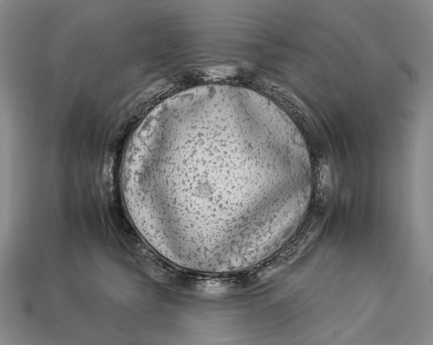 X0000112930565200909141336