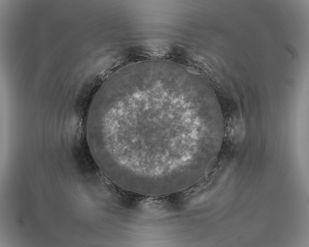 X0000112930568200909141336