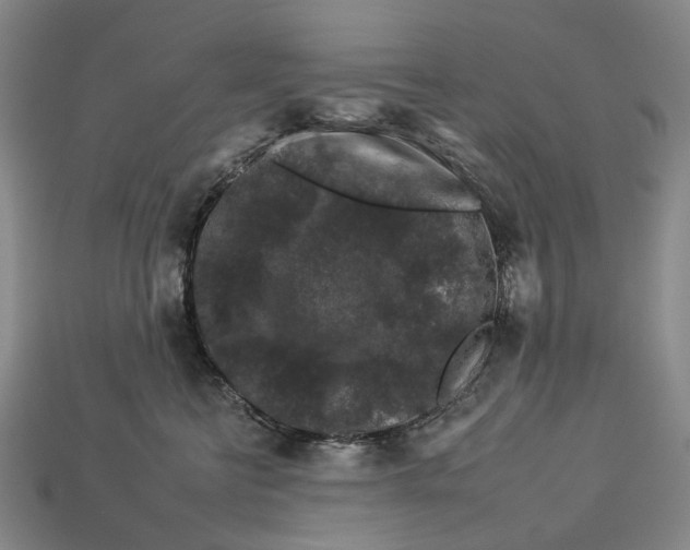 X0000112930570200909141336