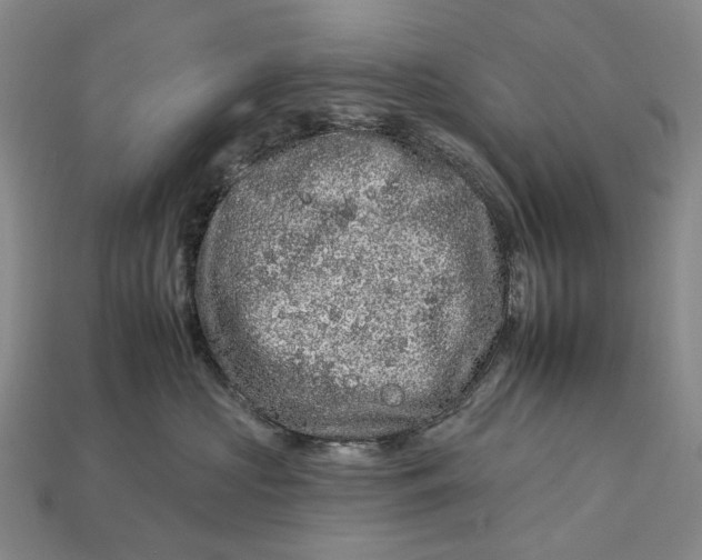 X0000112930573200909141336