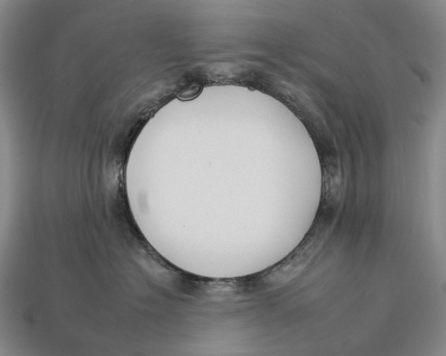 X0000112930574200909141336