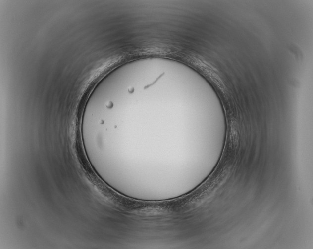 X0000112930578200909141335