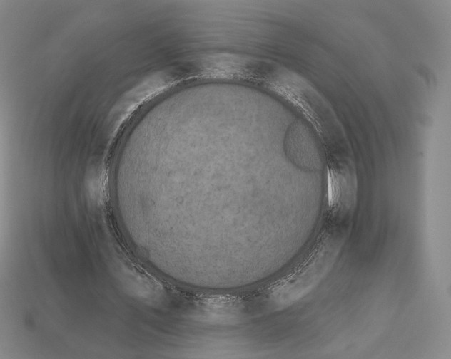 X0000112930579200909141335