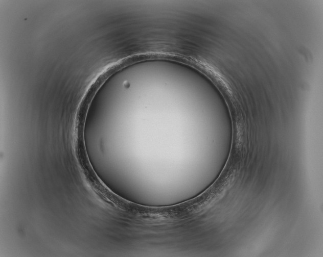 X0000112930580200909141335