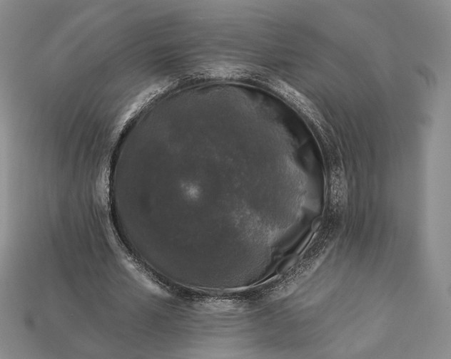 X0000112930581200909141335