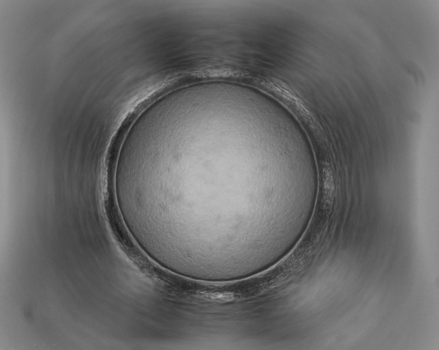 X0000112930582200909141335