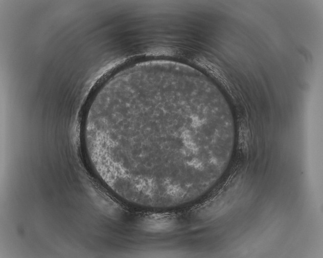 X0000112930584200909141335