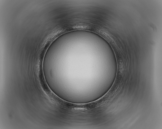 X0000112930586200909141335