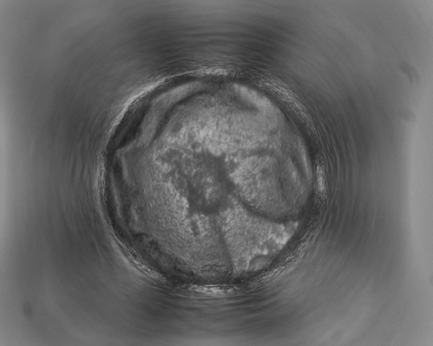 X0000112930588200909141335