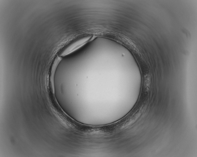 X0000112930589200909141335