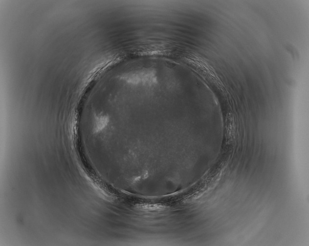 X0000112930590200909141335