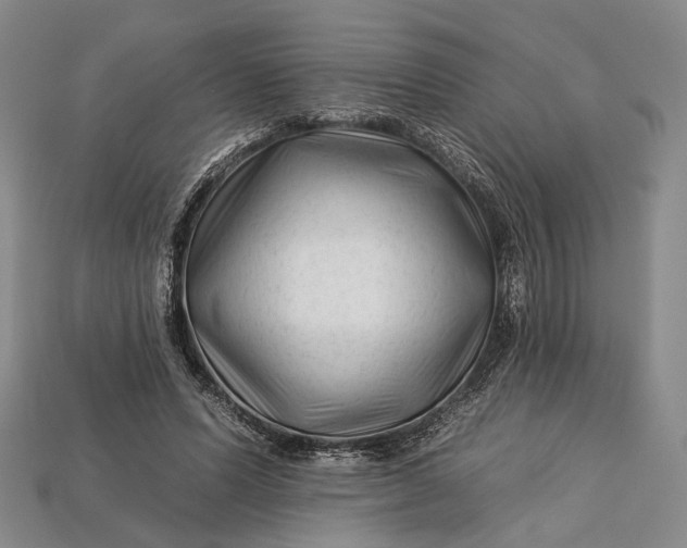 X0000112930591200909141335