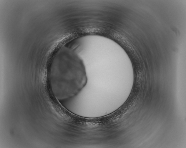 X0000112930592200909141335