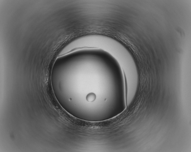 X0000112930593200909141335