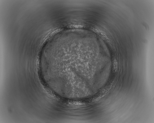 X0000112930594200909141335