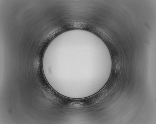 X0000112930595200909141335