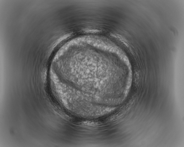 X0000112930596200909141335