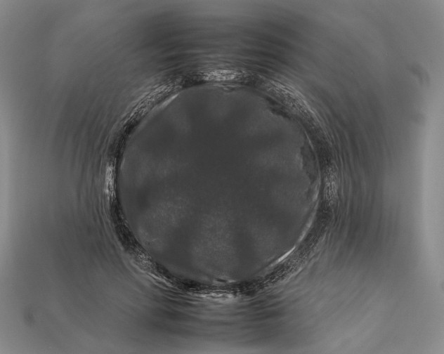 X0000112930598200909141335