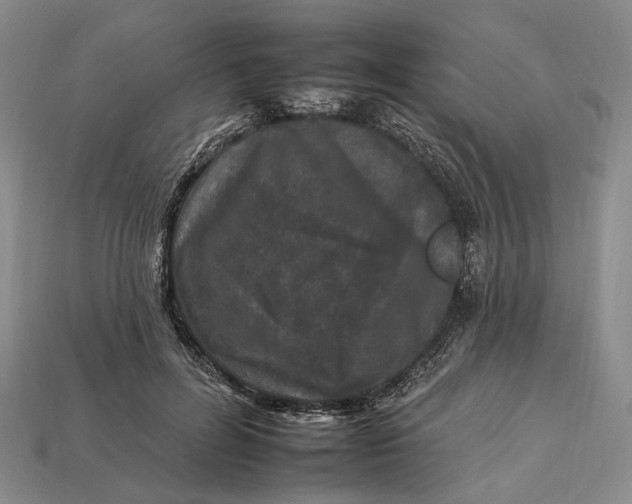 X0000112930600200909141335