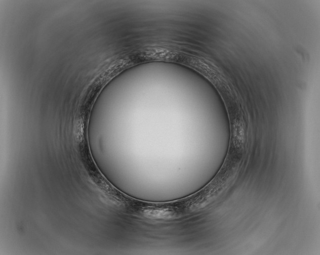 X0000112930602200909141335