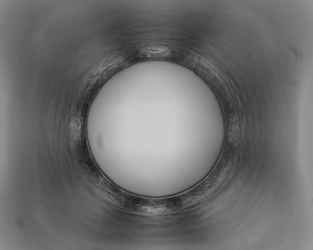 X0000112930604200909141335