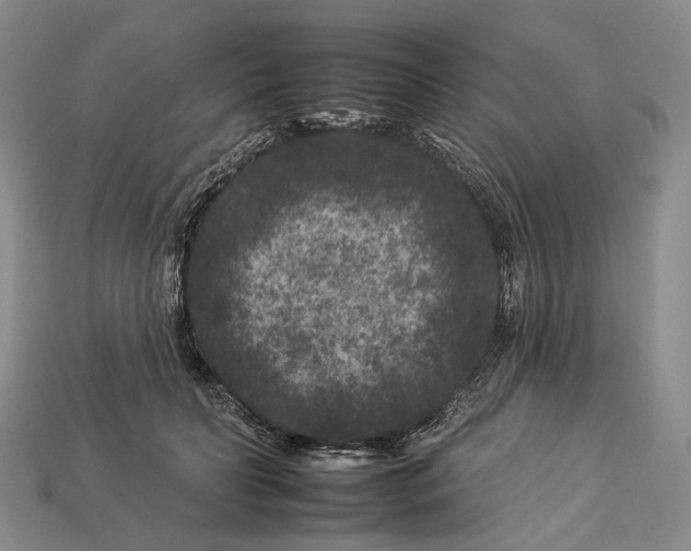 X0000112930606200909141335