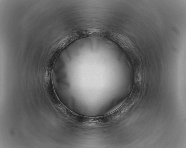 X0000112930607200909141335