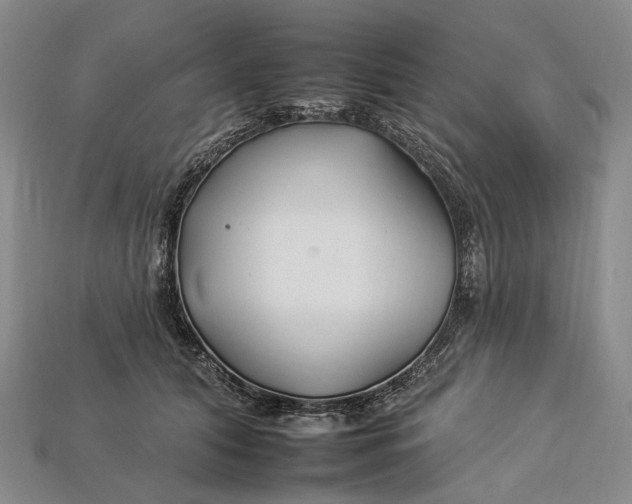 X0000112930608200909141335